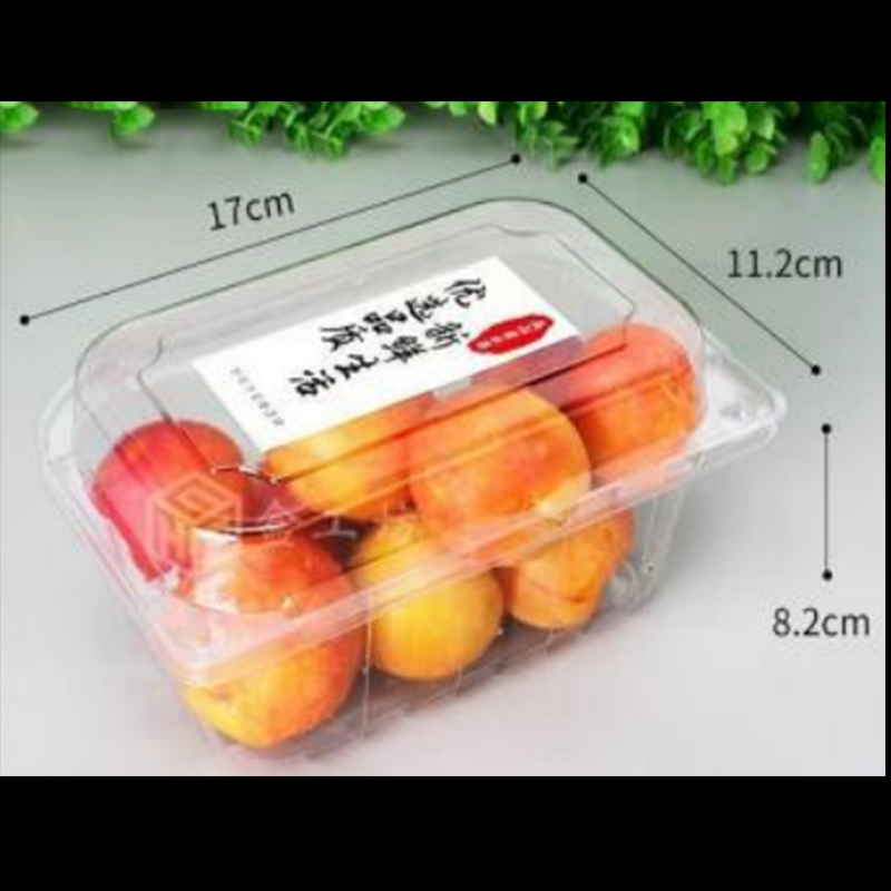 Cutie de fructe cu capac 170*112*82 mm HGF-300L