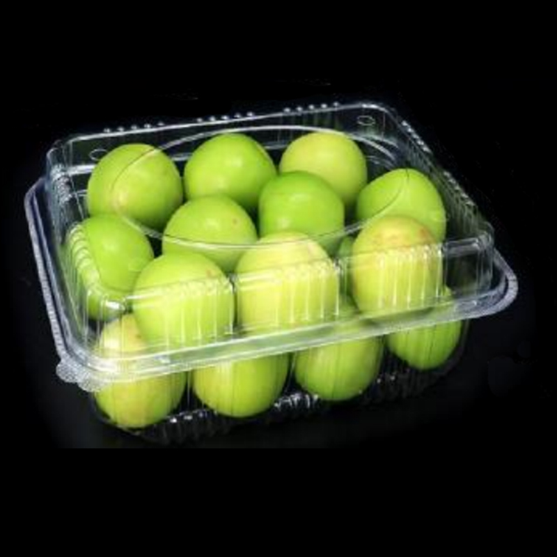 Cutie de fructe cu capac 230*175*90 mm HGF-1000A