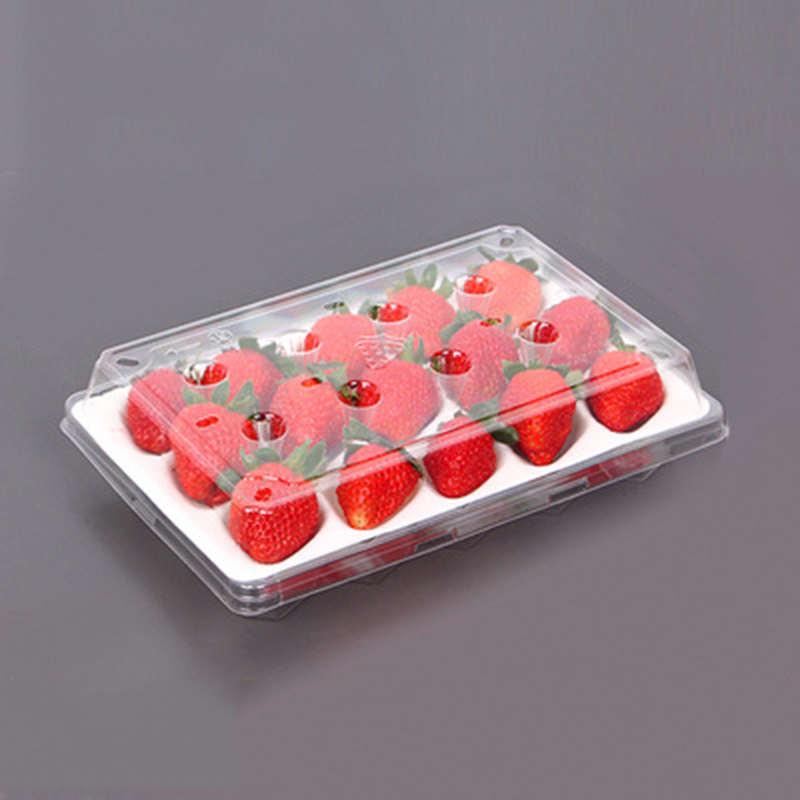 Strawberry Box (15 căpșuni) 225*120*40 mm cm-15